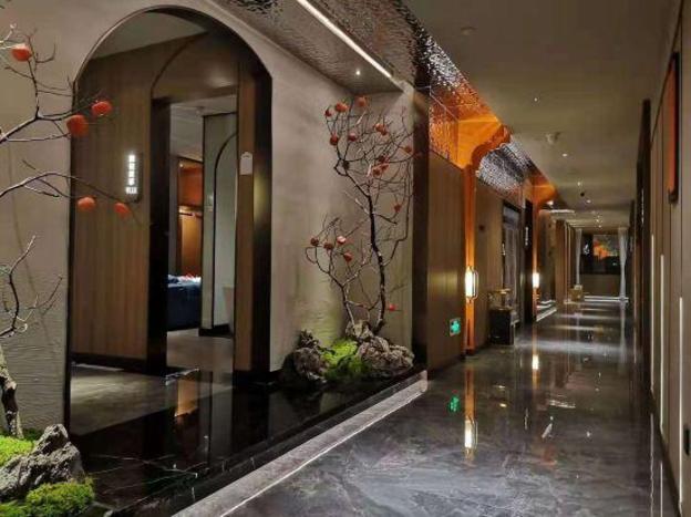 vienna international hotel hengyang nanyue hengshan scenic area