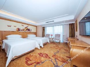 vienna international hotel wuhan polar ocean world
