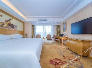 vienna international hotel wuhan polar ocean world