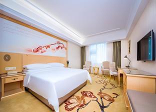 vienna hotel wuhan xingye road shiqiao metro station