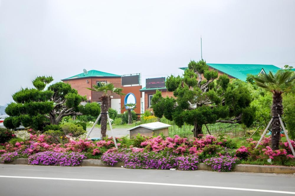 pado hyanggi pension