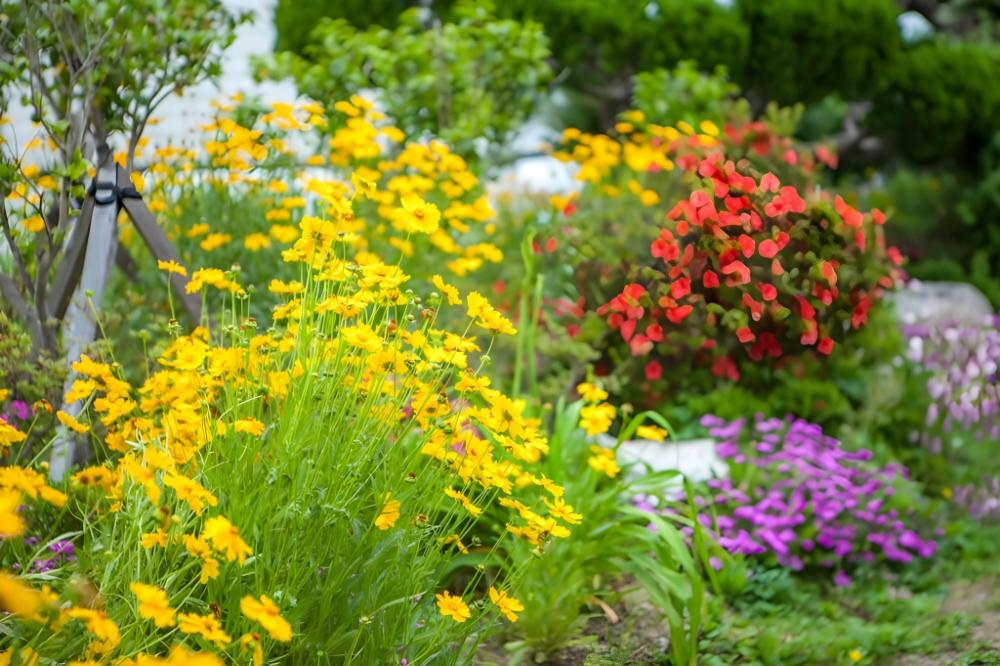 pado hyanggi pension