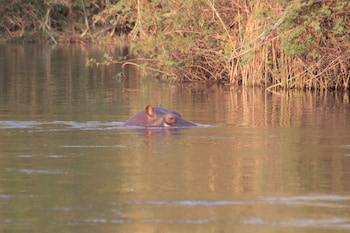 ndhovu safari lodge campground