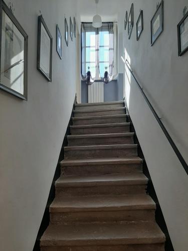lucca