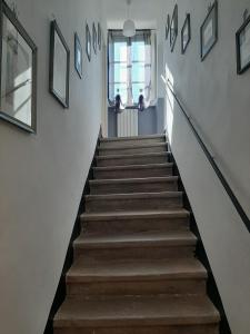 lucca
