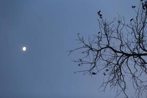 the scent boutique dalat hotel