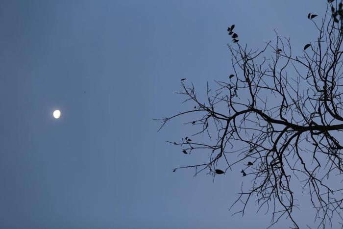 the scent boutique dalat hotel