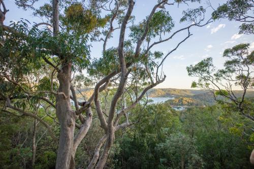 yha pittwater eco sydney