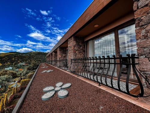 assos longevity hotel