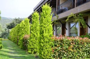 assos longevity hotel