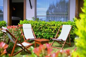 assos longevity hotel