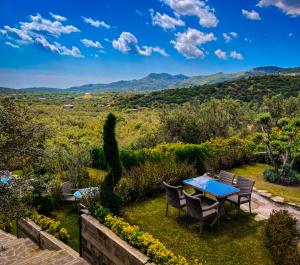 assos longevity hotel