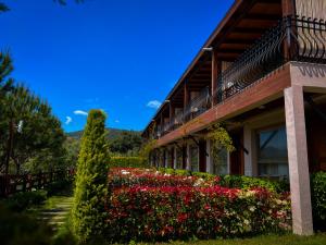 assos longevity hotel