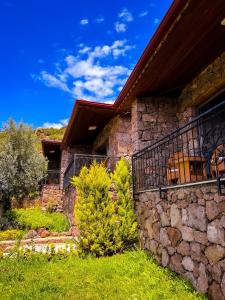 assos longevity hotel