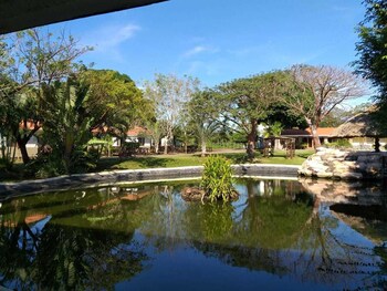 jamapa