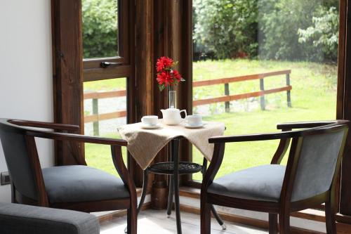 entre volcanes lodge