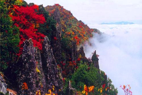 ankang