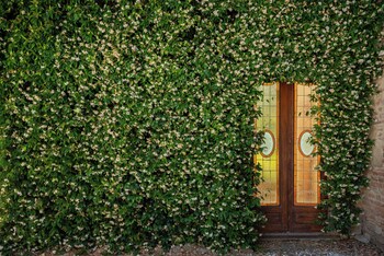 agriturismo bio fattoria bacio