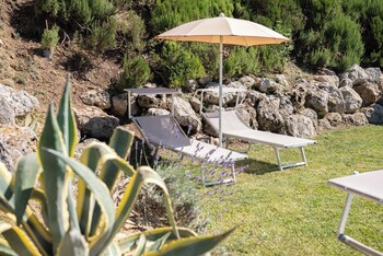 agriturismo bio fattoria bacio