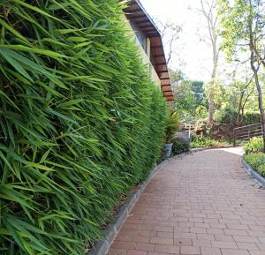 encore a boutique resort