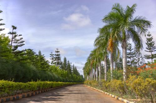 bangalore