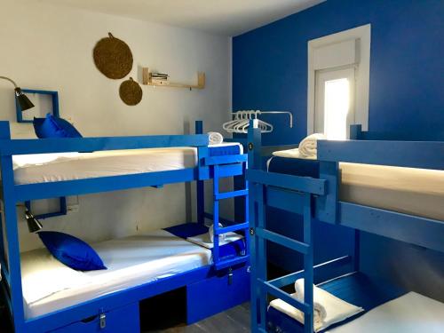 oasis backpackers toledo