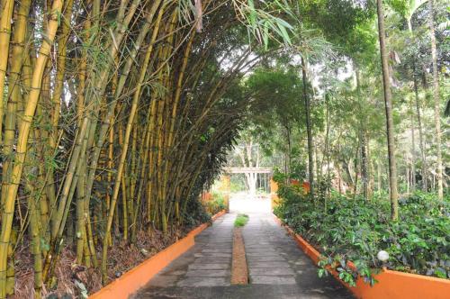chikmagalur