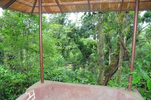 chikmagalur
