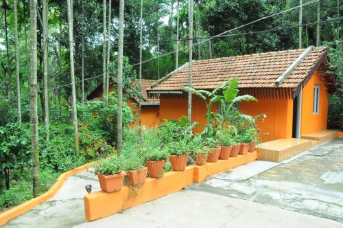chikmagalur