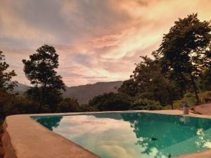 dream ville