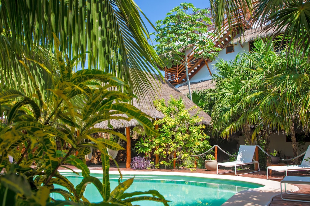 deluxe apartments holbox