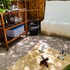 deluxe apartments holbox