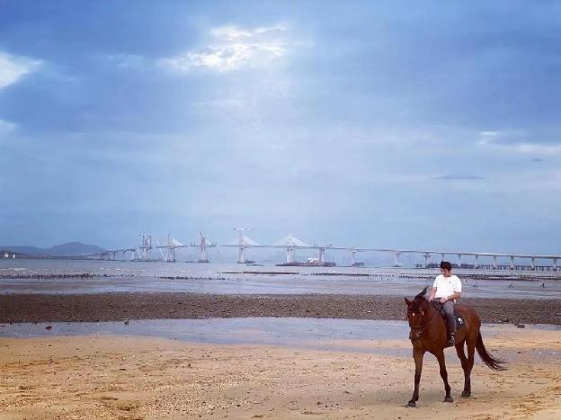 breeze and waves a seaside inn