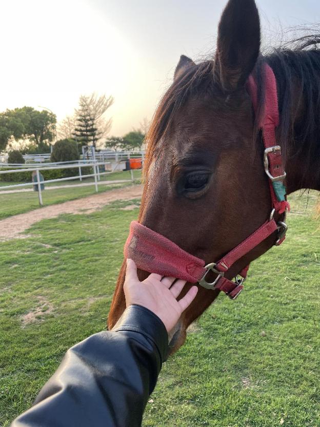 breeze and waves a seaside inn