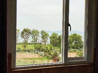 breeze and waves a seaside inn