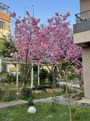 breeze and waves a seaside inn