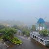 homestay tulip garden bao loc