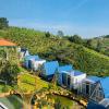homestay tulip garden bao loc
