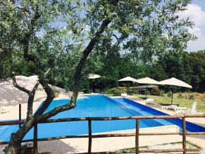 borgo nociquerceto