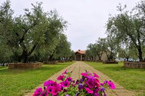borgo nociquerceto