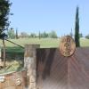 borgo nociquerceto