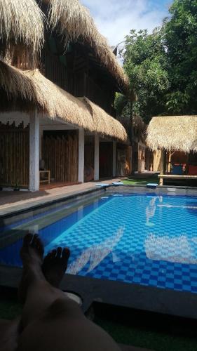 ardi beltza gili air