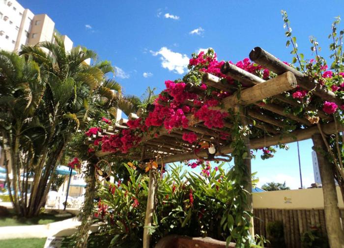 ecologic park caldas novas