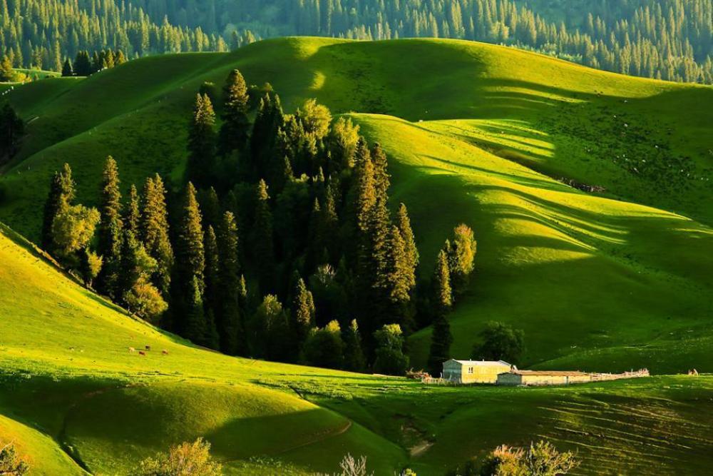 7 days inn yining xintiandi