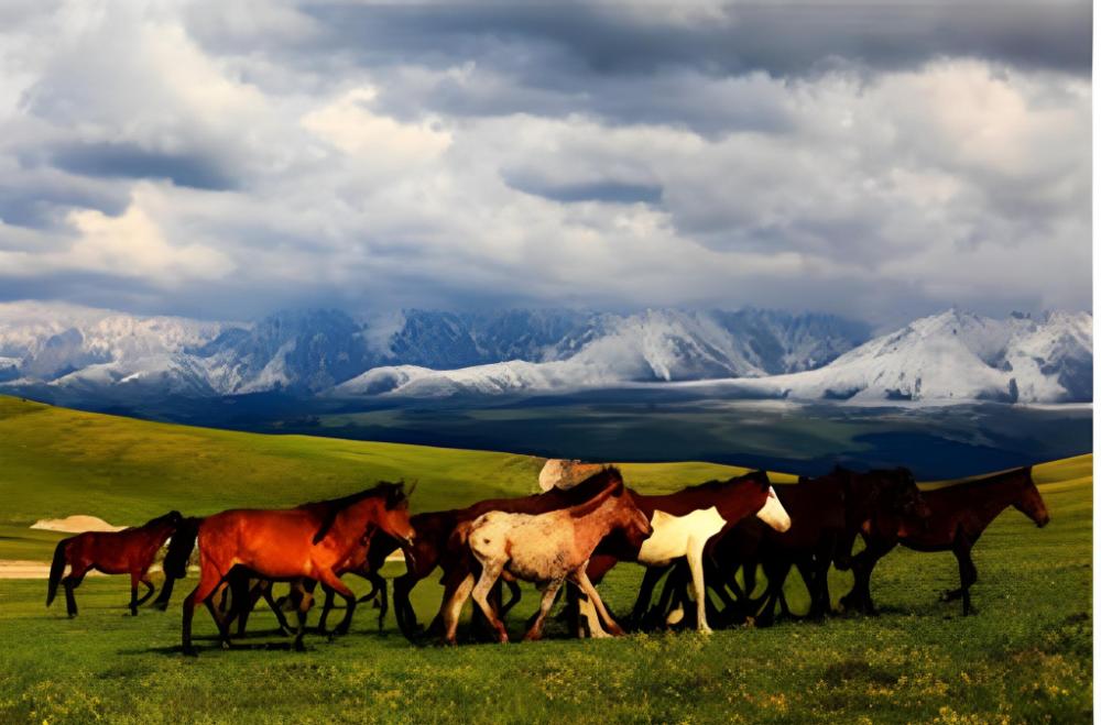 7 days inn yining xintiandi