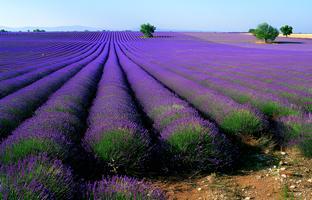 7 days inn yining xintiandi