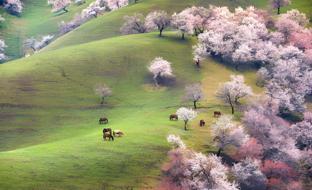 7 days inn yining xintiandi