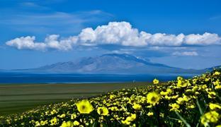 7 days inn yining xintiandi