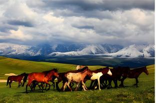 7 days inn yining xintiandi