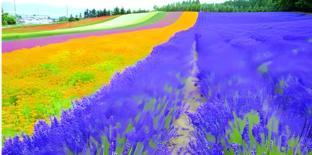 7 days inn yining xintiandi